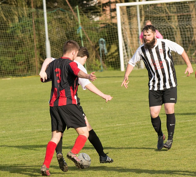 己的媒体公 己的媒体公