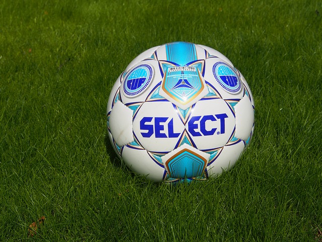 军事政策 军事政策