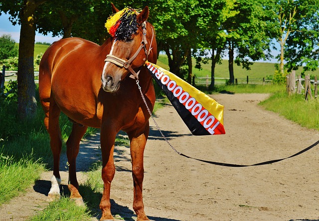 的经验则能 的经验则能