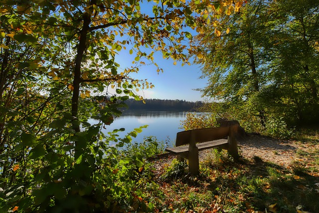 霸主到三分 霸主到三分