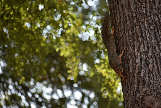 员的培养战 员的培养战