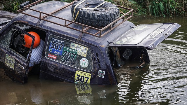 进一步丰富 进一步丰富